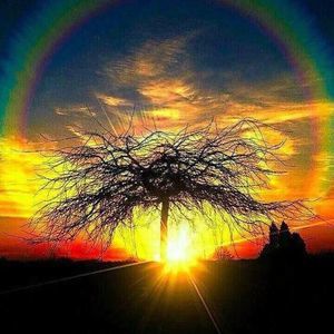 Meet your Posher, Joyce